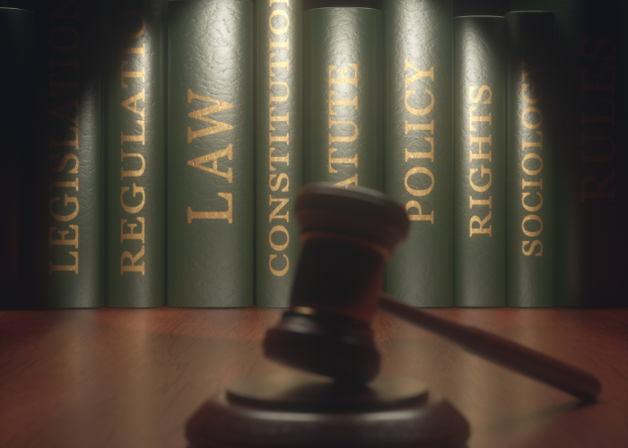 Mersin İdare Hukuku